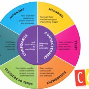 Collaboration Assessment Wheel