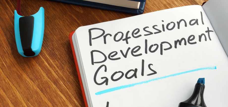 Prioritising Professional Development for Trainers and Learning Professionals